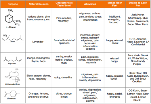 The Five Most Common Terpenes • CannaCopia Provisions